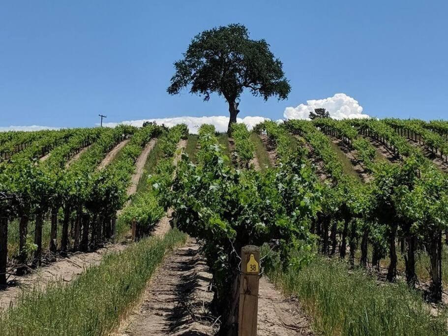 The Vineyard Farmhouse Villa Paso Robles Exterior foto