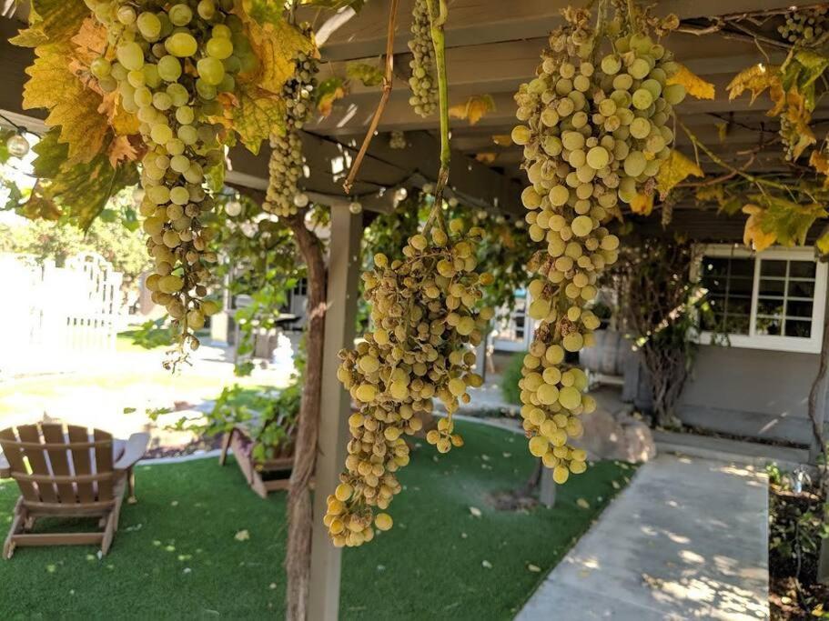 The Vineyard Farmhouse Villa Paso Robles Exterior foto